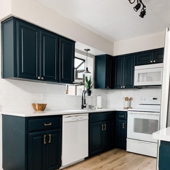Sherwin Williams Dark Night (6237)
