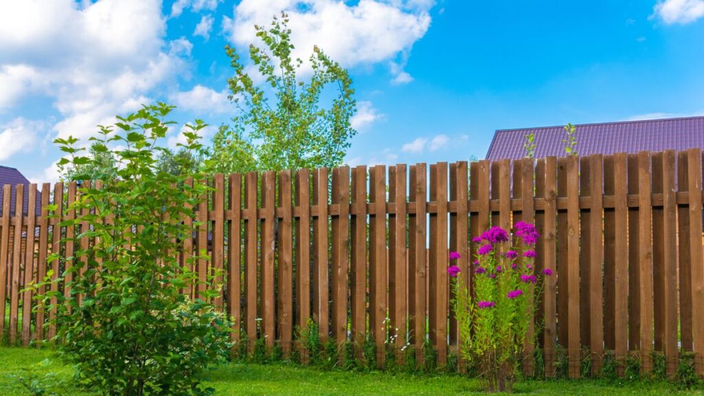 Chain Link Fencing