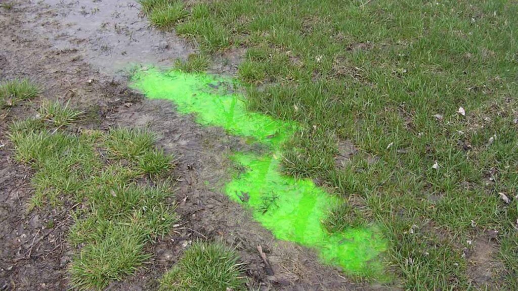 Septic Dye Test