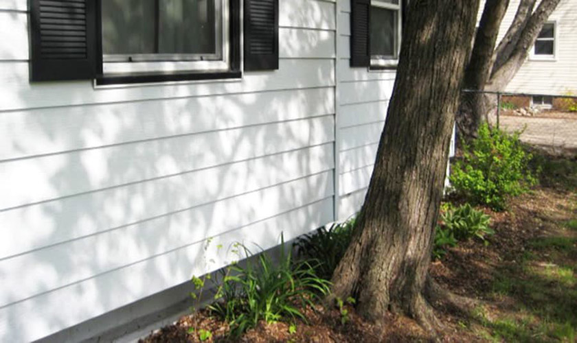 Tree Root Damage To Foundation